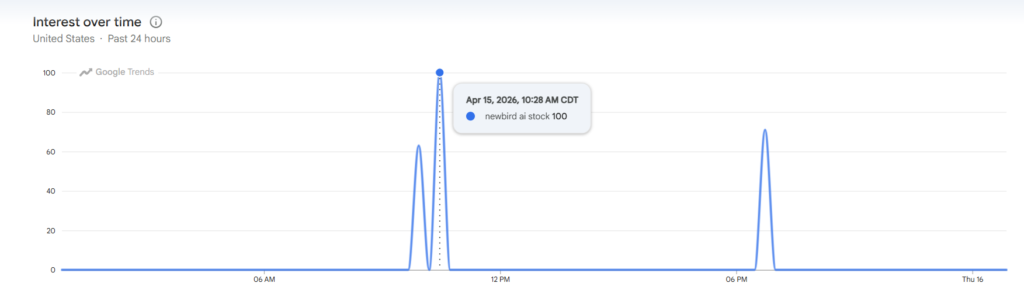 NewBird AI Stock Peaked 100